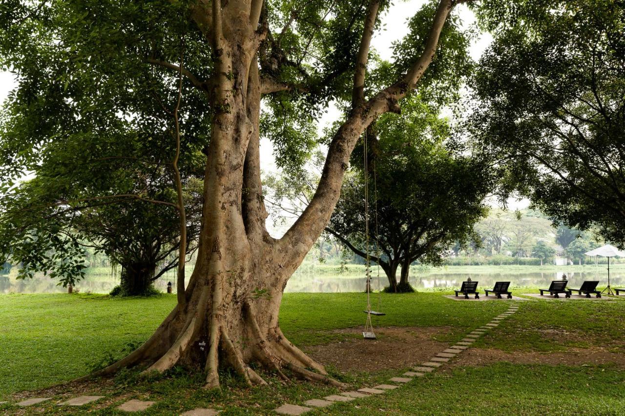 The Legend Chiang Rai Boutique River Resort & Spa Zewnętrze zdjęcie